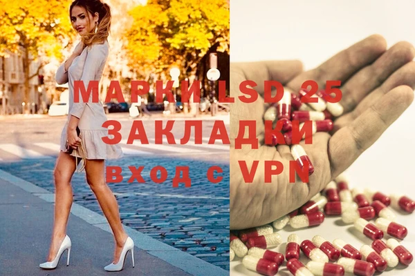 гидра Нея