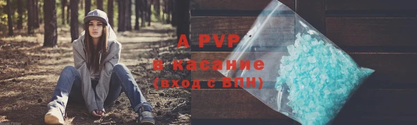 гидра Нея