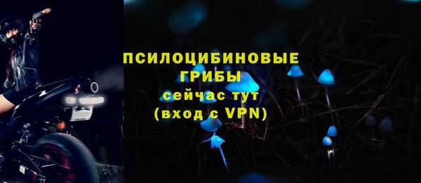 гидра Нея