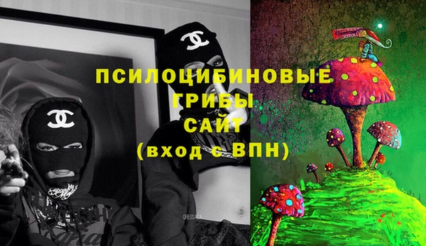 гидра Нея