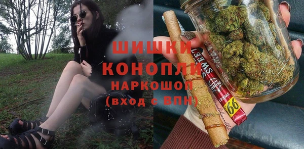 гидра Нея