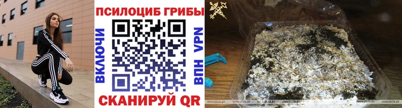 площадка Telegram  Черногорск  Галлюциногенные грибы мухоморы 